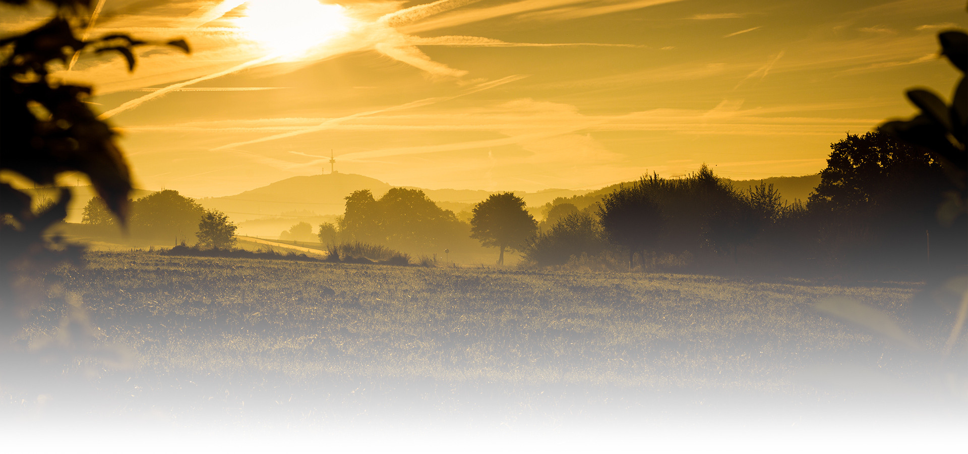 Naturlandschaft Hintergrundbild